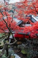 国产欧美日韩av综合-国产与海外AV内容，多元文化视角下的娱乐探索
