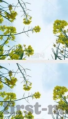 麻豆91幻星辰-守护网络纯净，理性审视麻豆91幻星辰及其影响