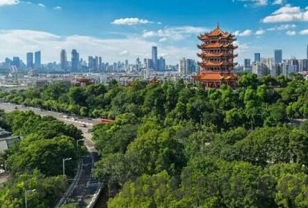麻豆乐园APP-麻豆乐园APP，打造多彩娱乐的数字乐园