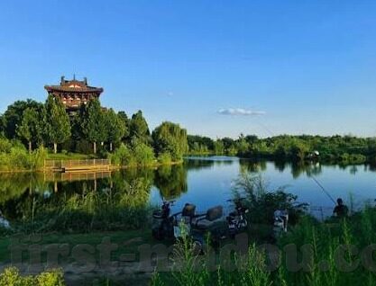 欧美成人免费视频-欧美成人免费视频，网络文化与隐私边界的微妙探讨