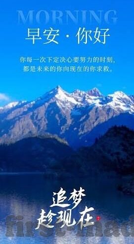 糖心app免费版安卓版-探索科技与生活的和谐共舞，糖心app安卓免费版的魅力之旅