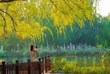 糖心app免费入口-揭秘糖心app的奇妙之旅，免费入口的真相与探索